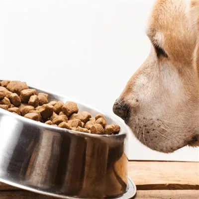 Comida Funcional para Cães